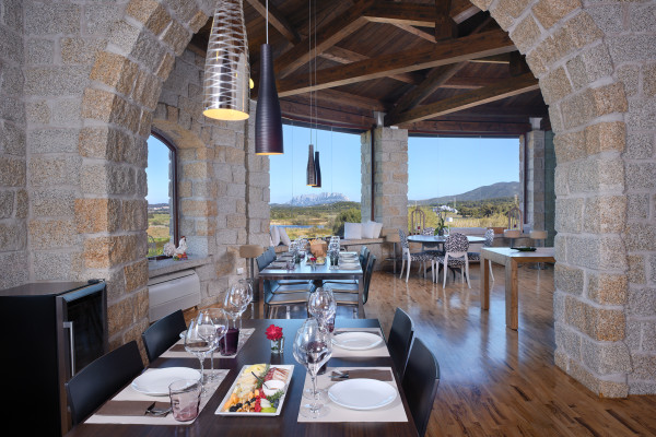 N°31 Degustazione in Vigna e Cantina a Olbia