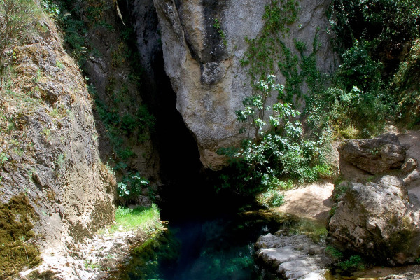 N°134 Tour Su Gologone e Lanaitho con Pranzo (4x4)