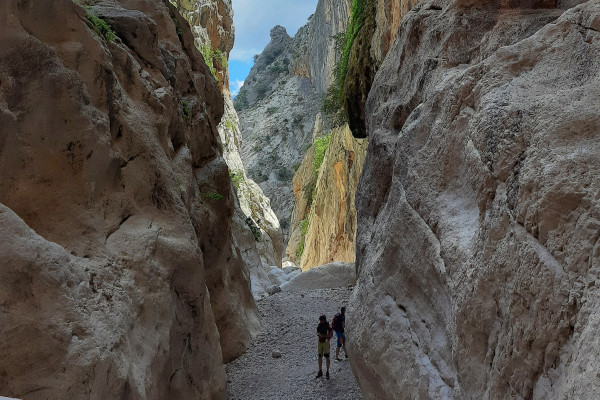 N°61 Trekking tour al Canyon di Gorropu in Sardegna