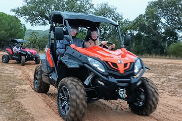 N°143 NOLEGGIO BUGGY MONTE NIEDDU