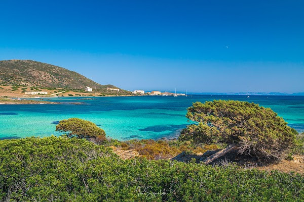 N°138 Parco Asinara: Visita Guidata in Trenino