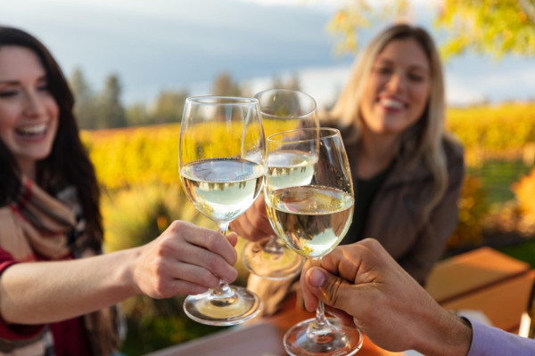 N°56 Tour dei vini da Olbia in Tuk Tuk o Minivan